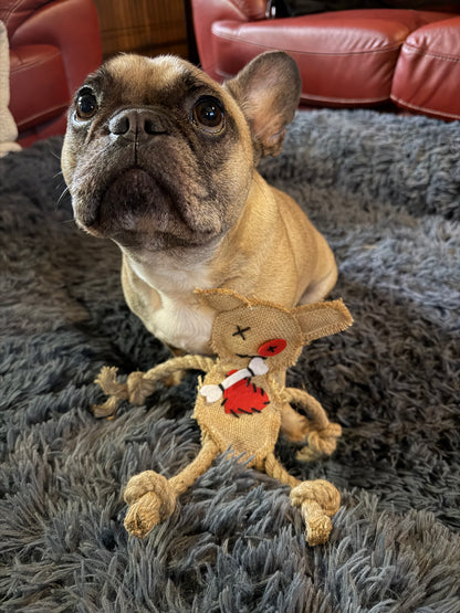 Voodoo dog toy